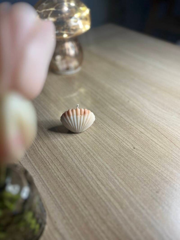Bougie coquillage