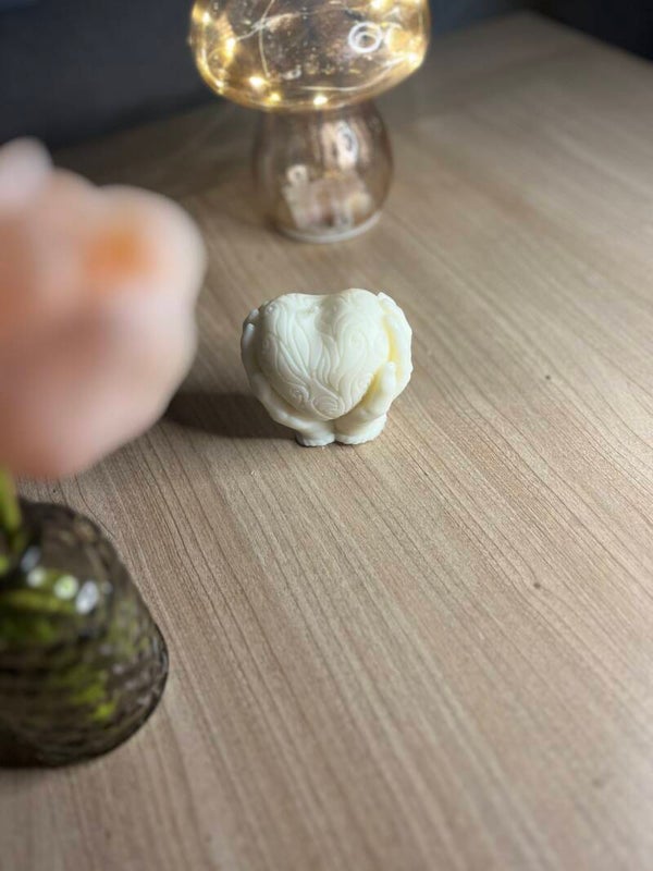 Bougie coeur dans les mains