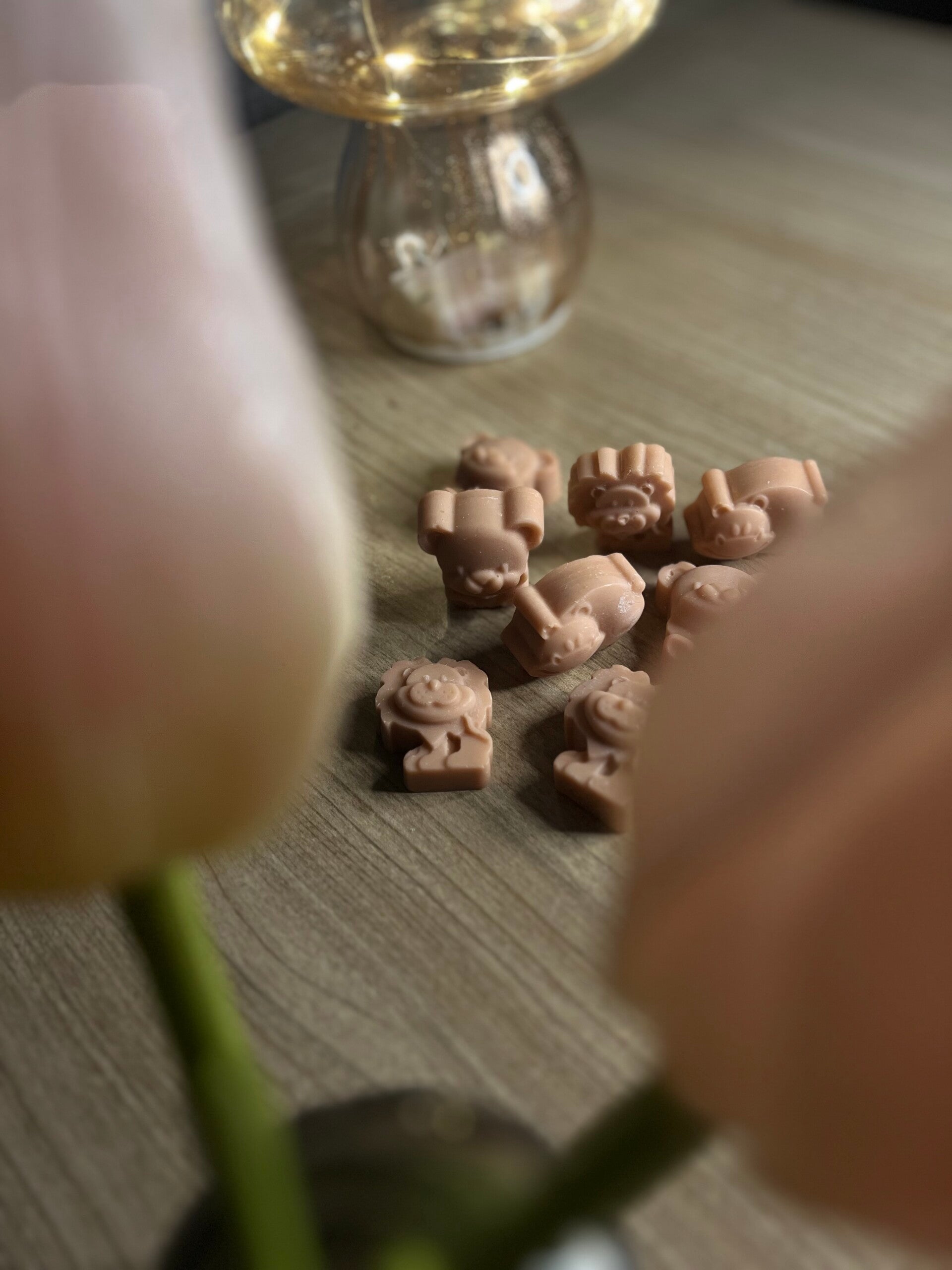 Fondants parfumés "animaux sauvages"