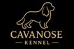 Cavanose Kennel