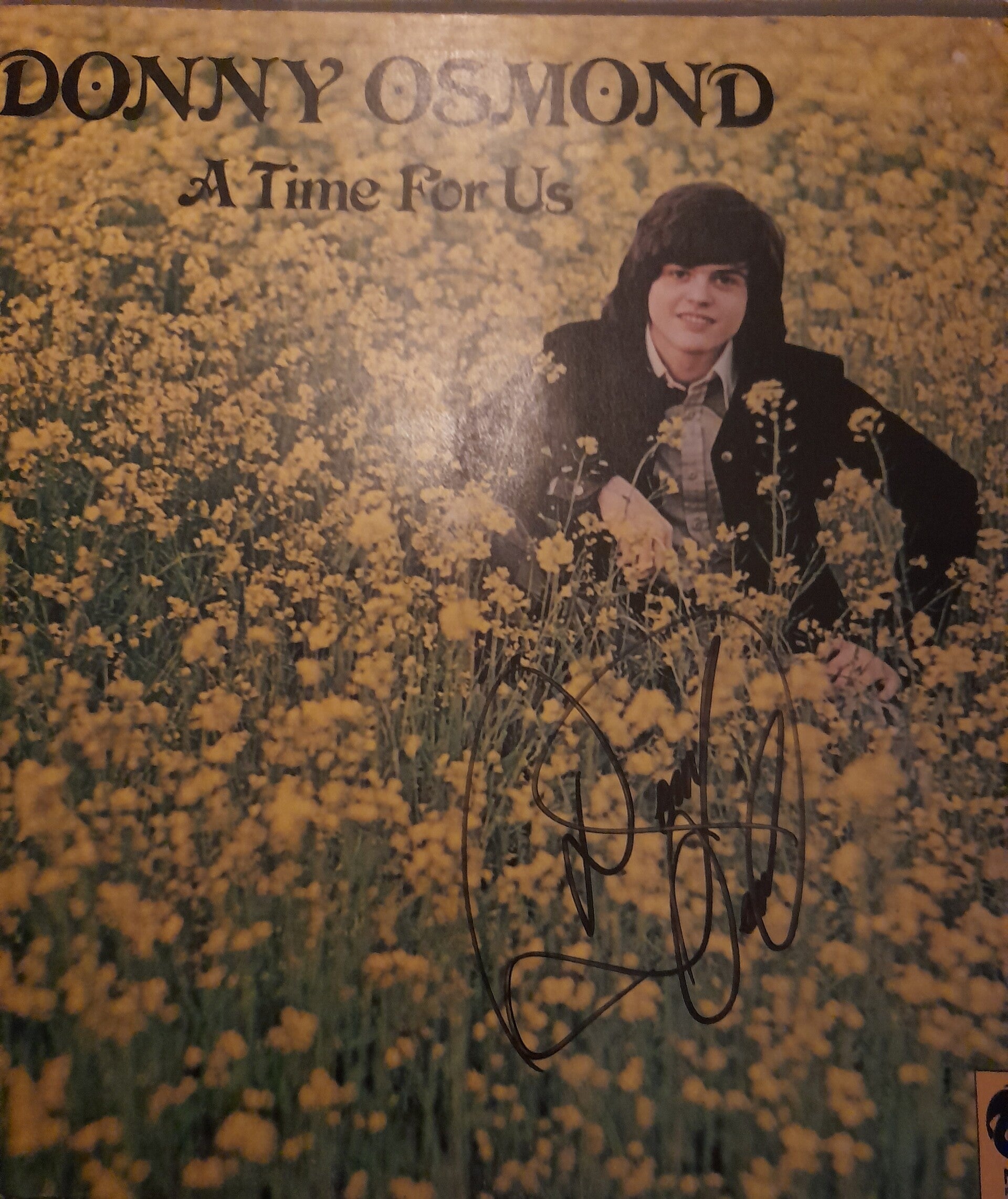 Donny Osmond a time for us , signed