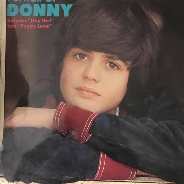Portrait of Donny Osmond