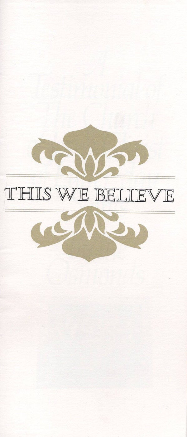 This we believe brochure