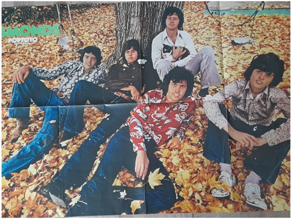 The Osmonds poster
