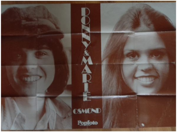 Donny and Marie large poster