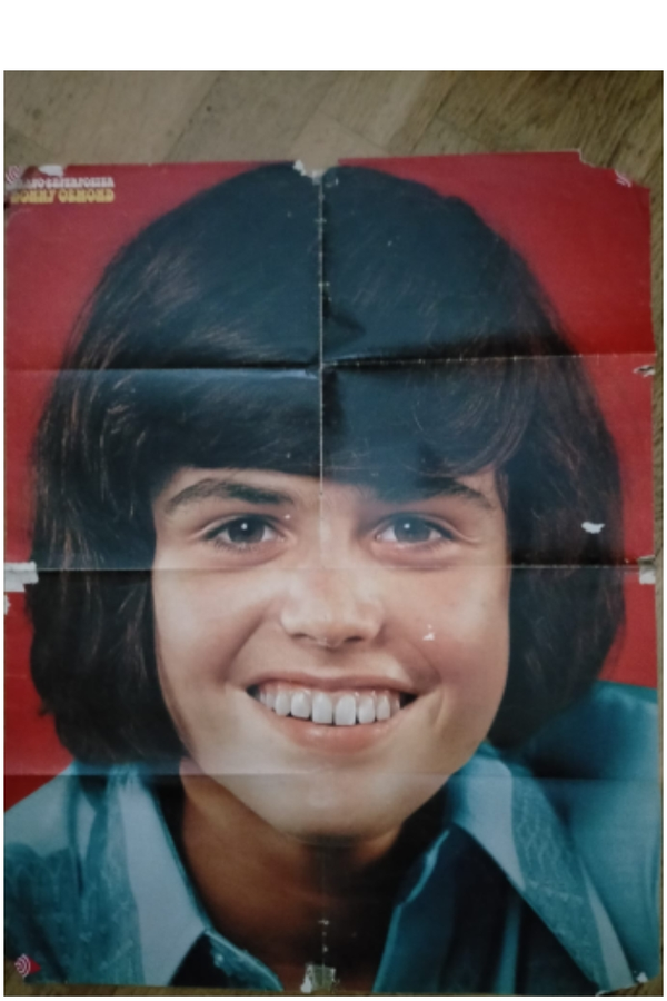 Donny Osmond poster