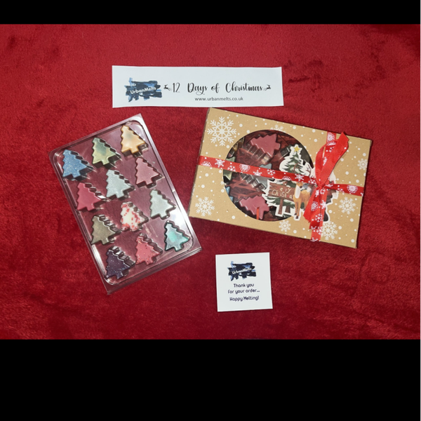 12 days of Christmas