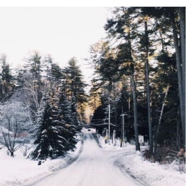 Winters morning walk