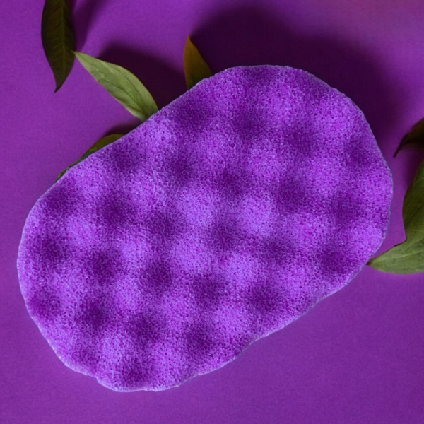 Soap sponge. Aliens ( like the perfume) last 3+ wks