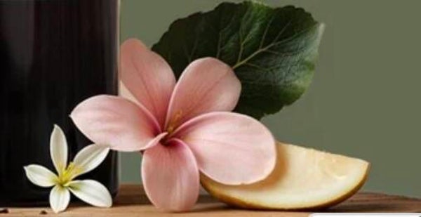 Frangipani