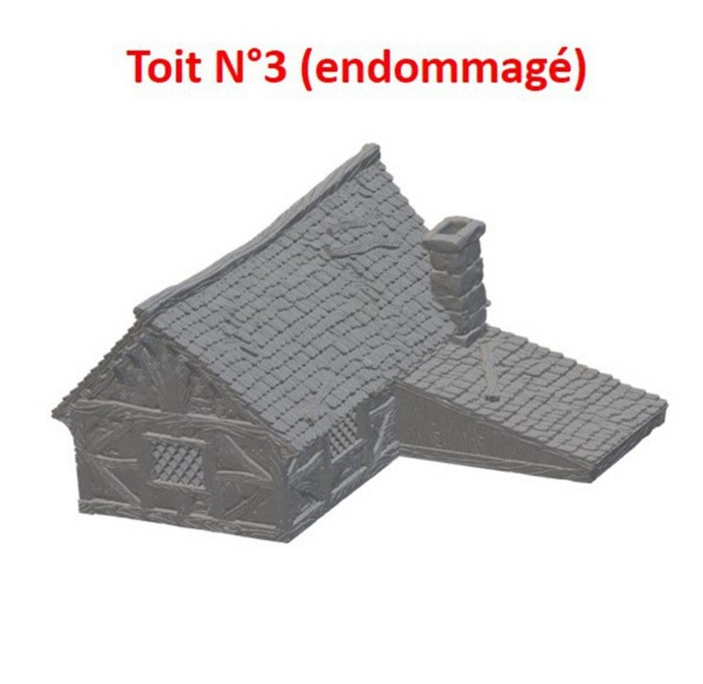 Toit version endomagé
