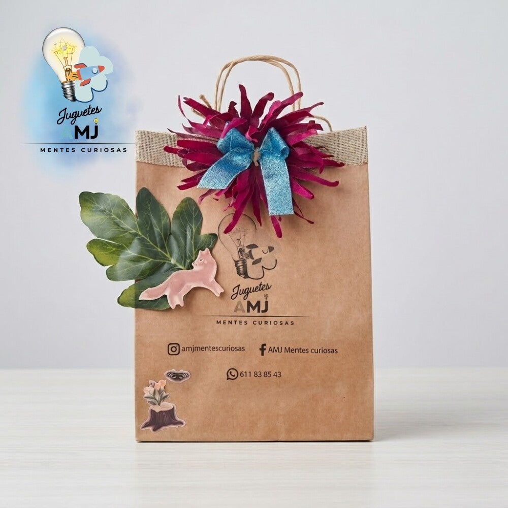 mystery-bag-amj-4-standard-51miz5.jpg