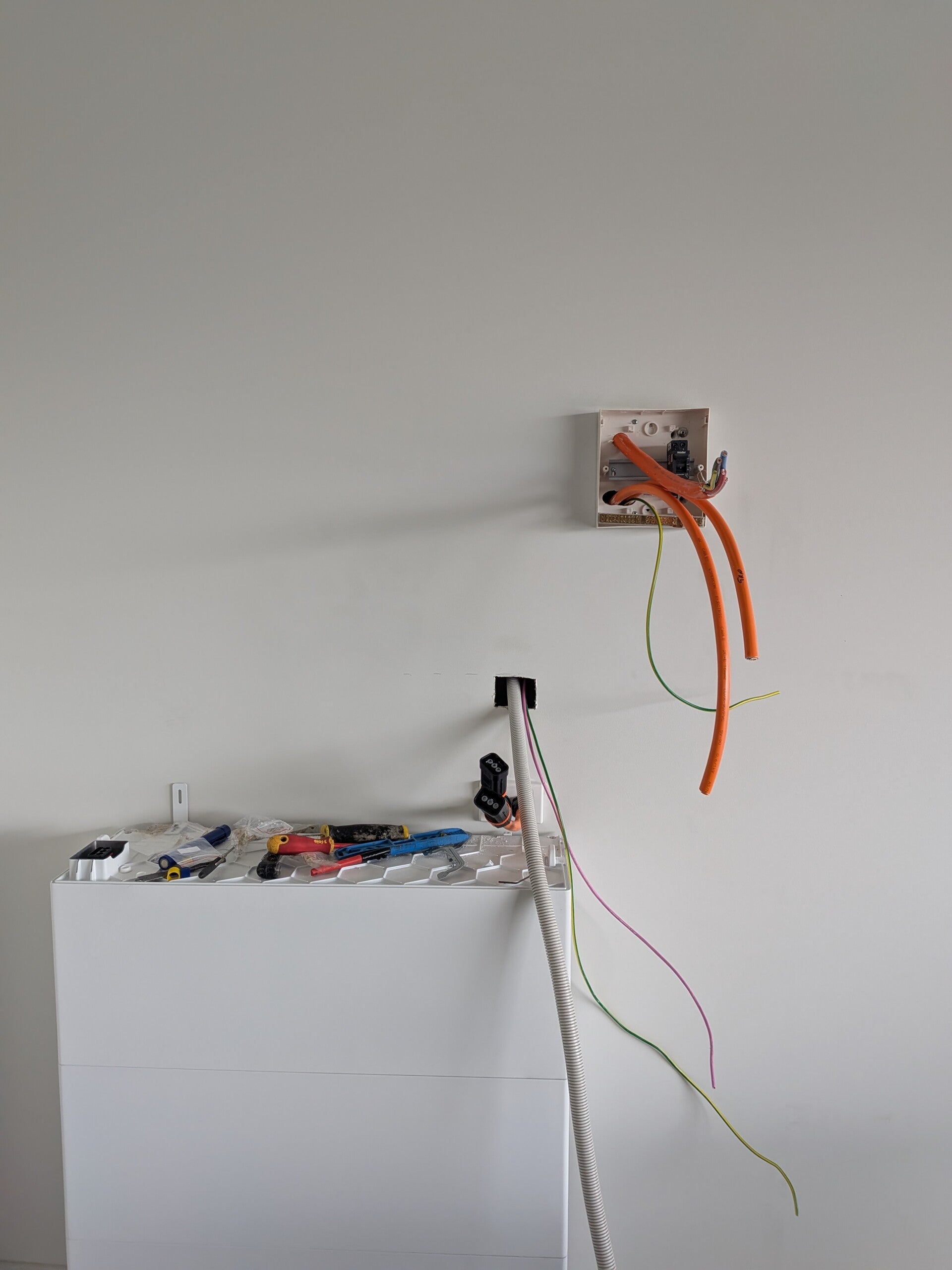 pxl_20260411_032101455-standard.jpg