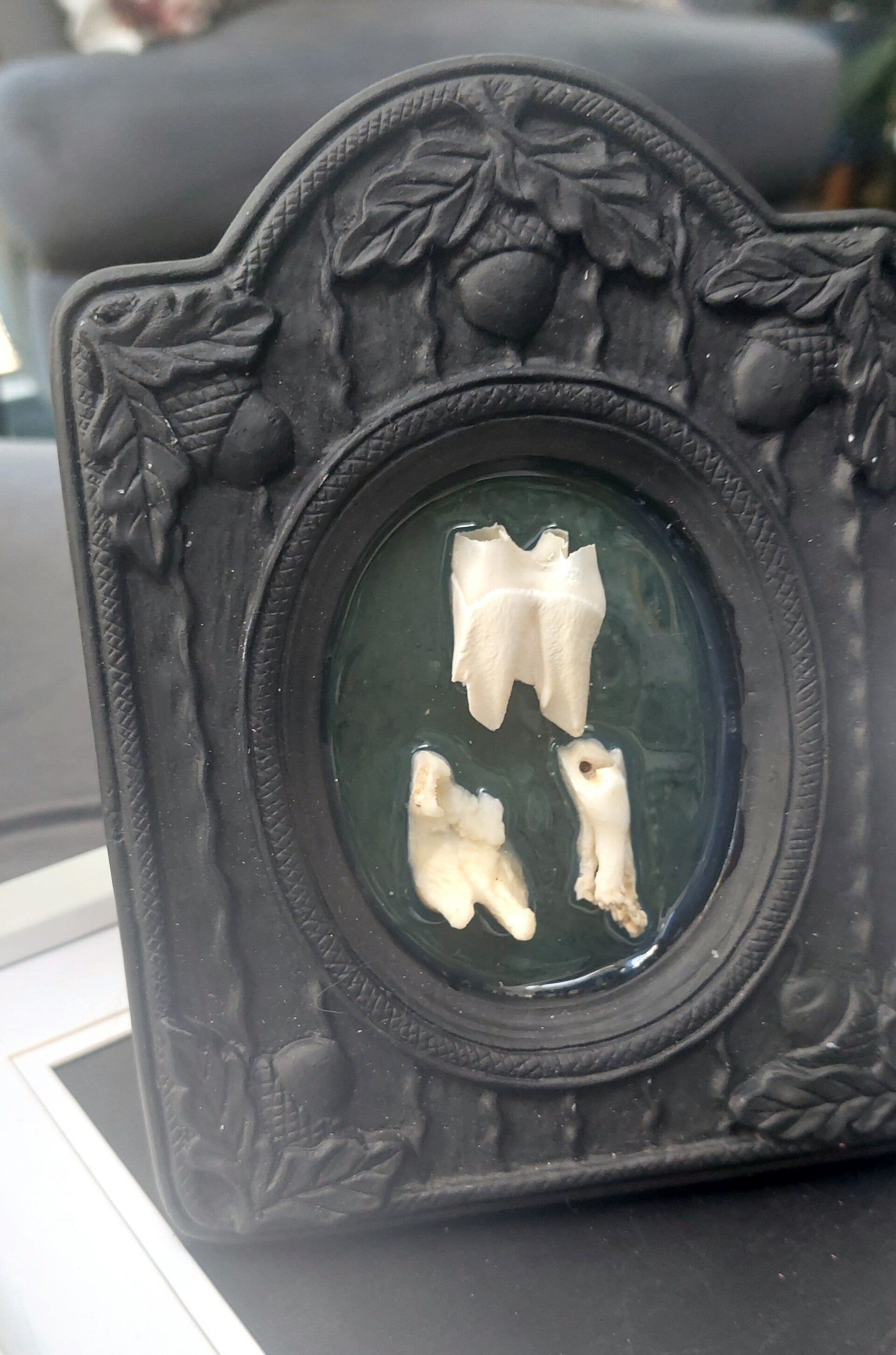 Mounted Teeth