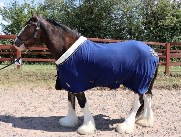 Heavy horse fleece show rug