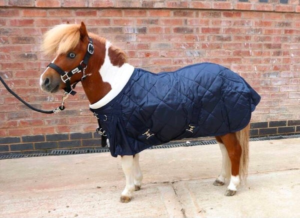 Stable rug shetland/miniature sizes