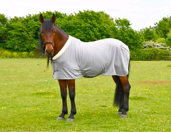 Rhinegold fleece show rug.