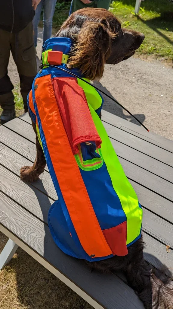 Beschermvest voor je  hond