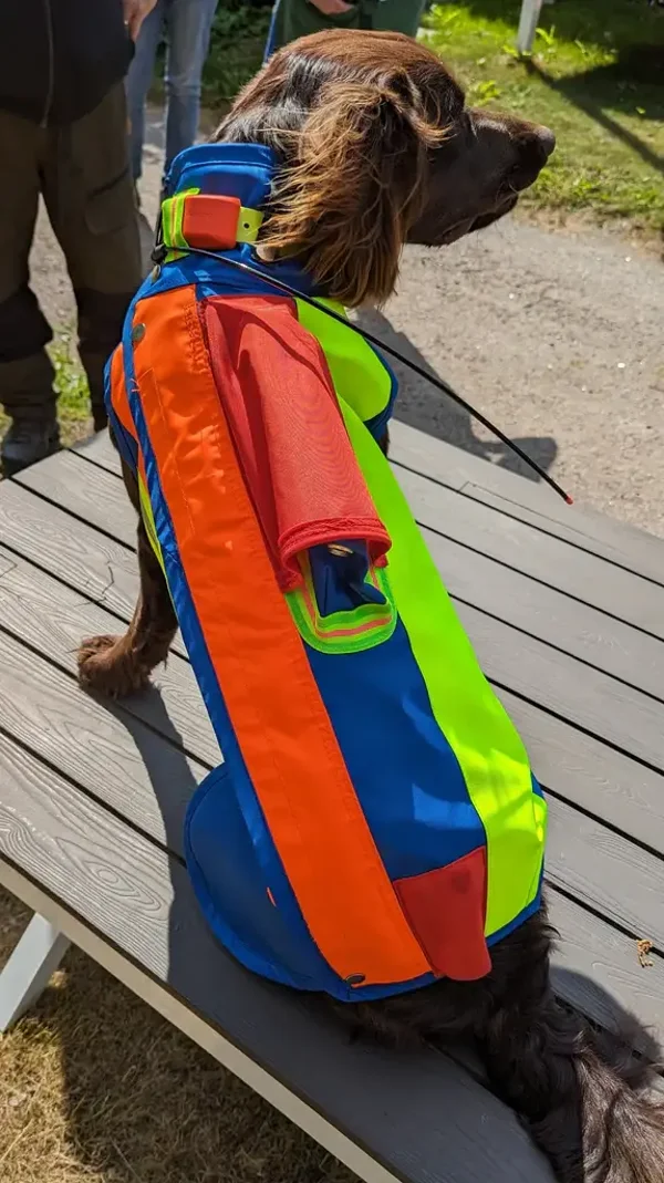 Beschermvest voor je  hond