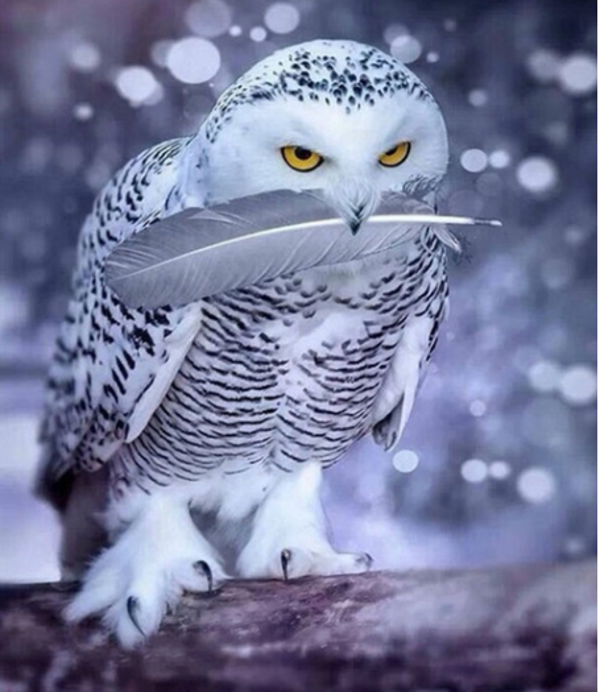 Diamond painting, 50x40cm ( Dionys design 47)