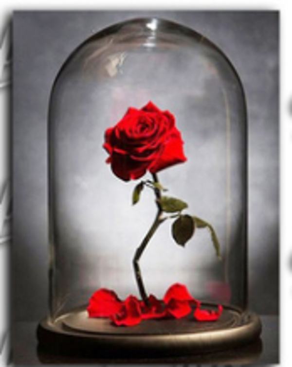 Diamond painting, 20x30cm ( Dionys design 45)