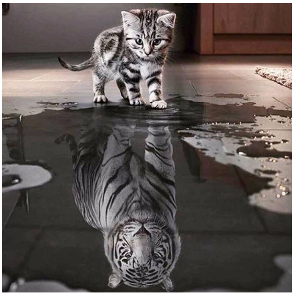 Diamond painting, 20x30cm  ( Dionys design 19)