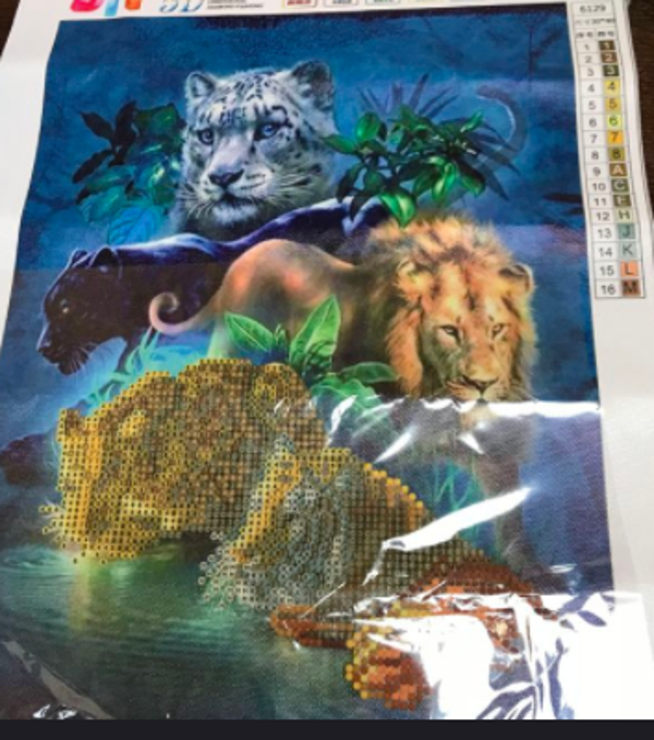 Diamond painting: 30x40 cm  ( Dionys design 10)