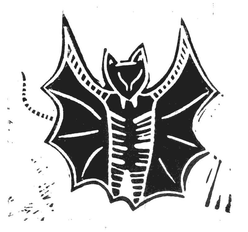 fledermaus.jpg