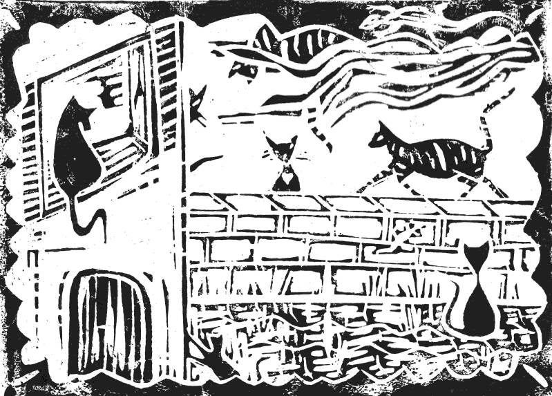 katzenimhof.jpg