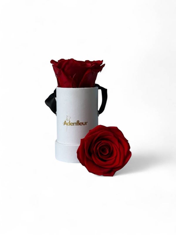 Chérie Box Weiß – Echte Infinity-Rose🌹