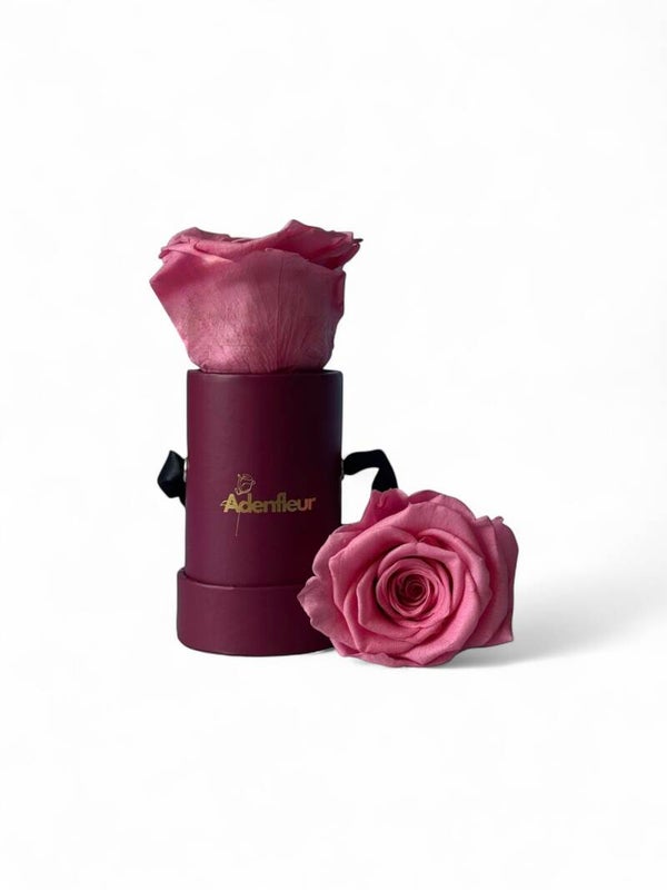 Chérie Box Weinrot- Echte Infinity-Rose🌹