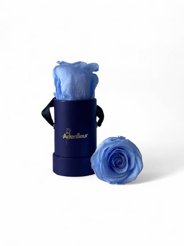 Chérie Box Tiefblau - Echte Infinity-Rose🌹