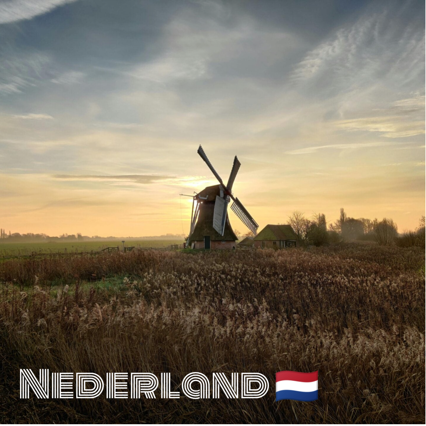 Nederlandse bloemenhoning van de imker