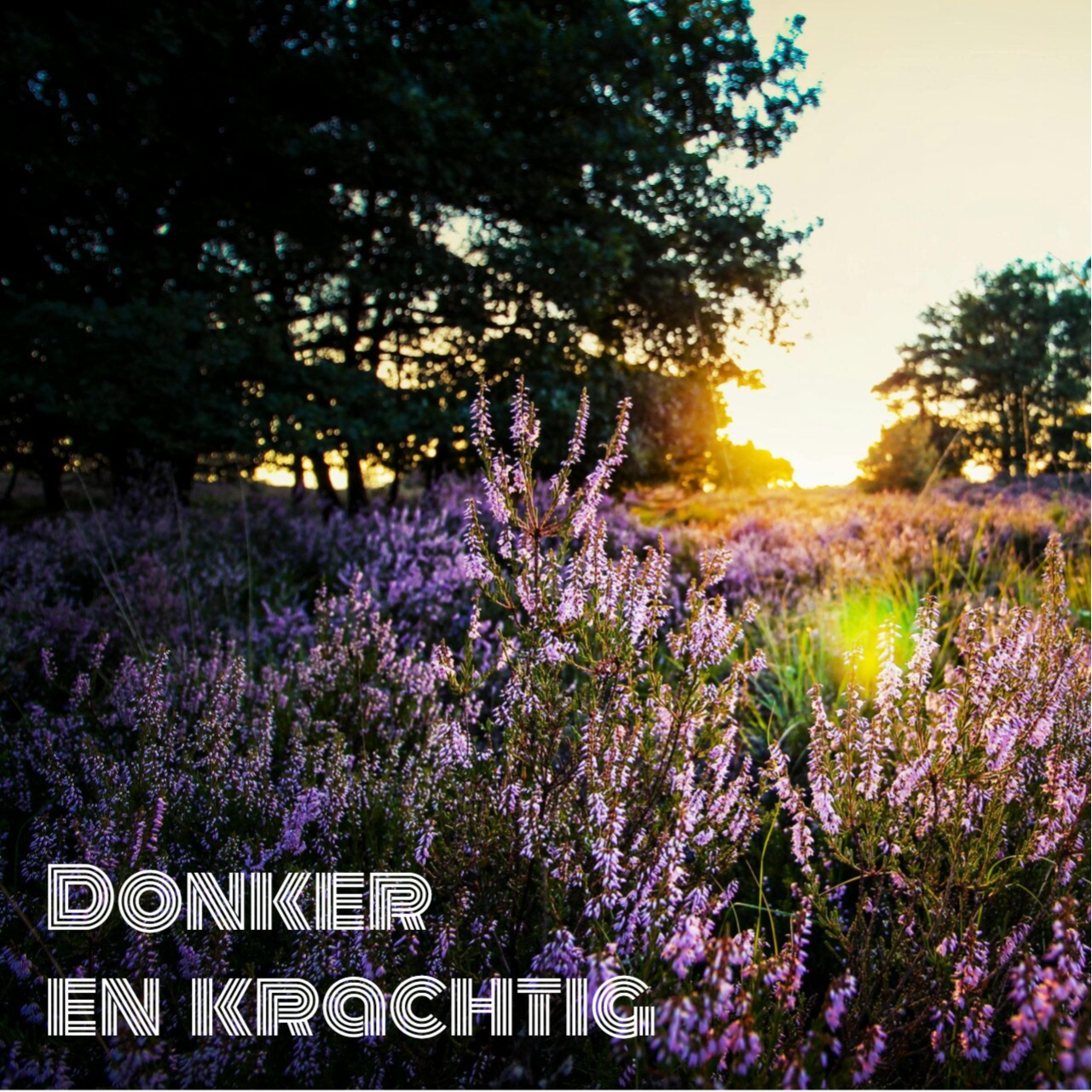 Heide honing koop je hier