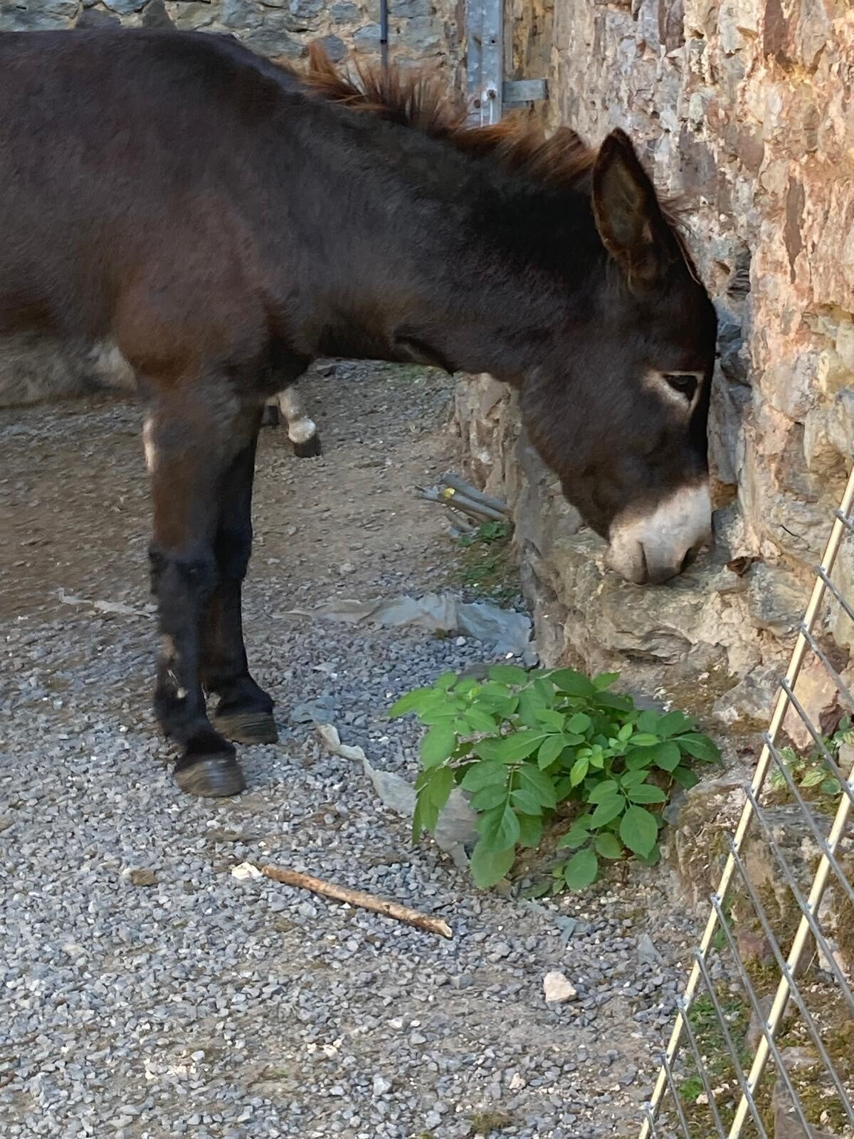 img-20260922-wa0011-standard.jpg