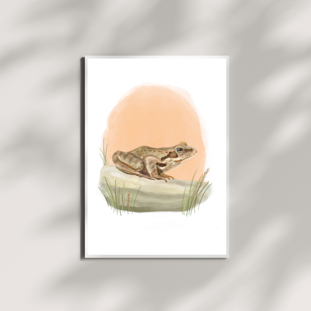 A5 kunstprint bruine kikker