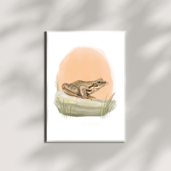 A5 print bruine kikker