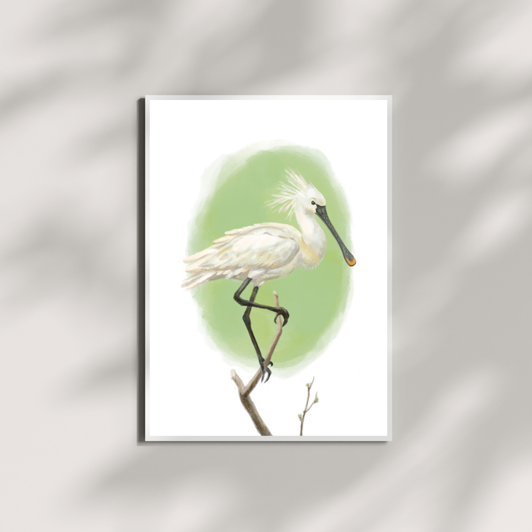A5 kunstprint lepelaar