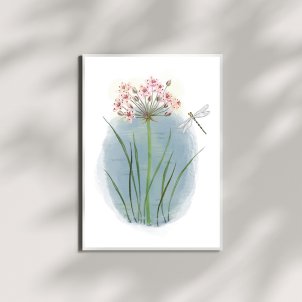 A5 print zwanenbloem en libelle
