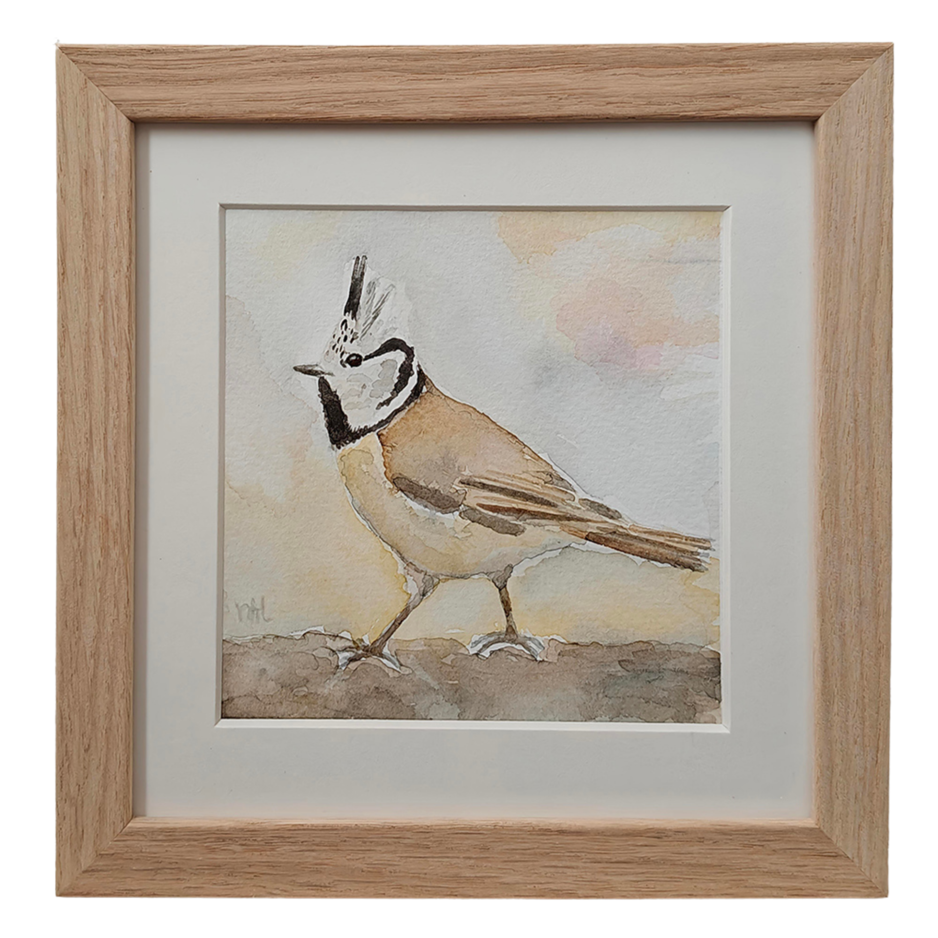 Aquarel Kuifmees