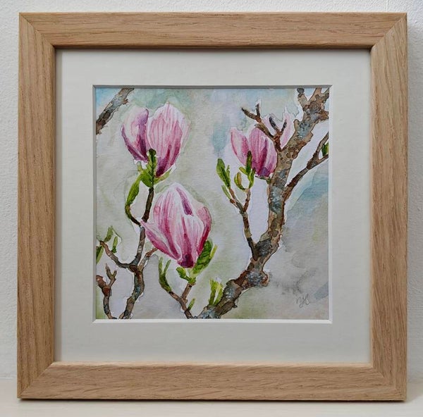 Aquarel Magnolia