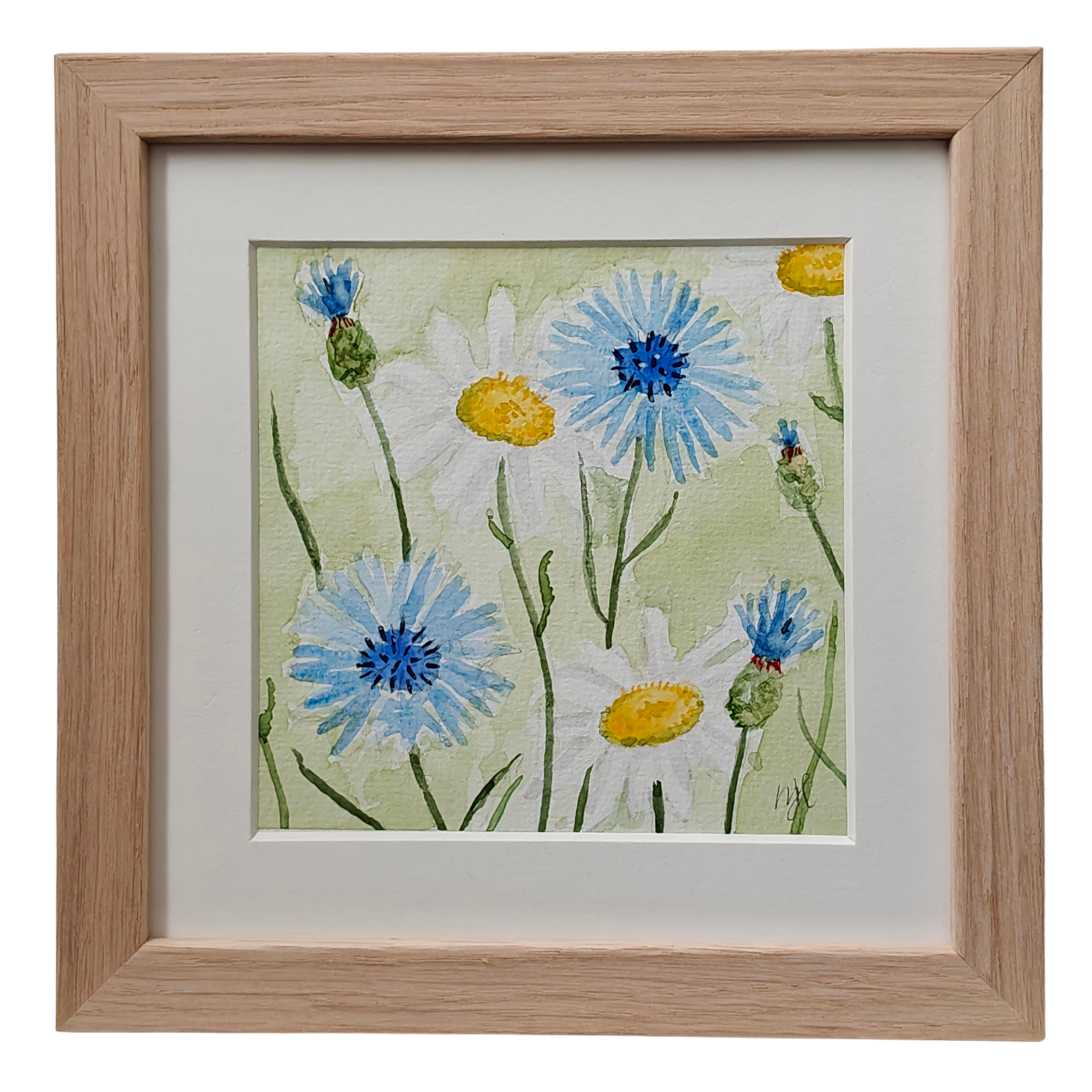 Aquarel Korenbloemen en Margrieten