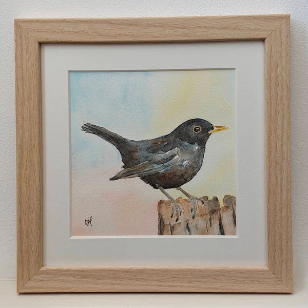Aquarel Merel