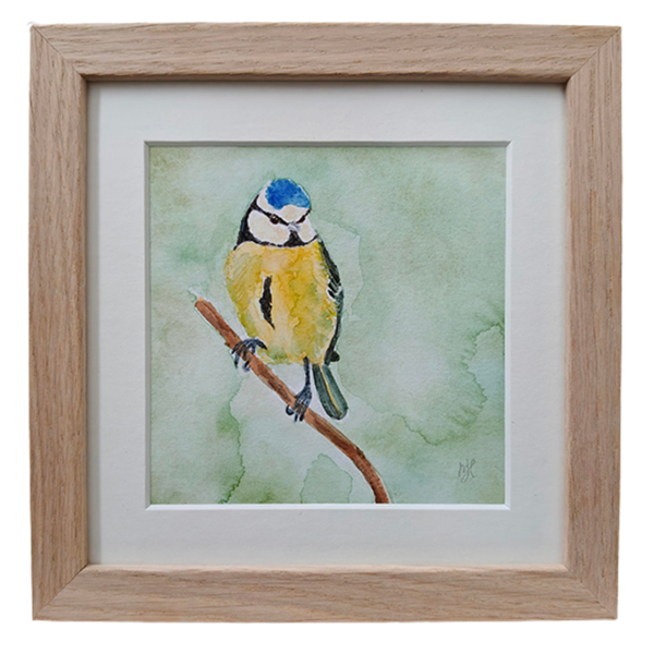 Aquarel Pimpelmees