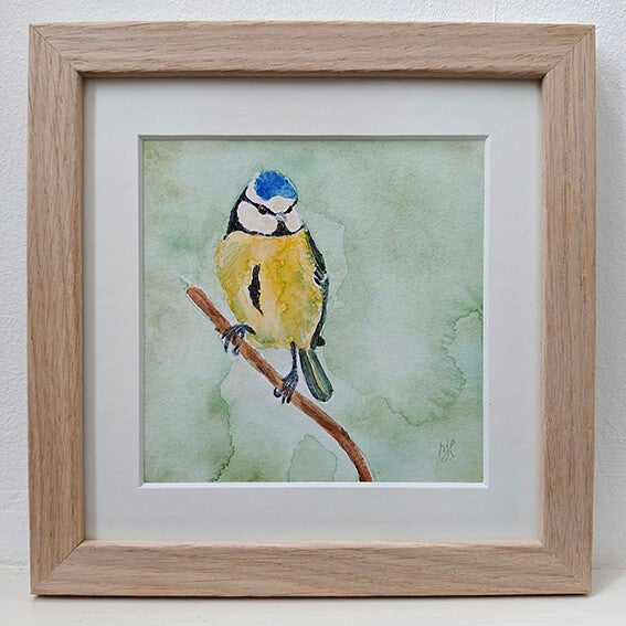 Aquarel Pimpelmees