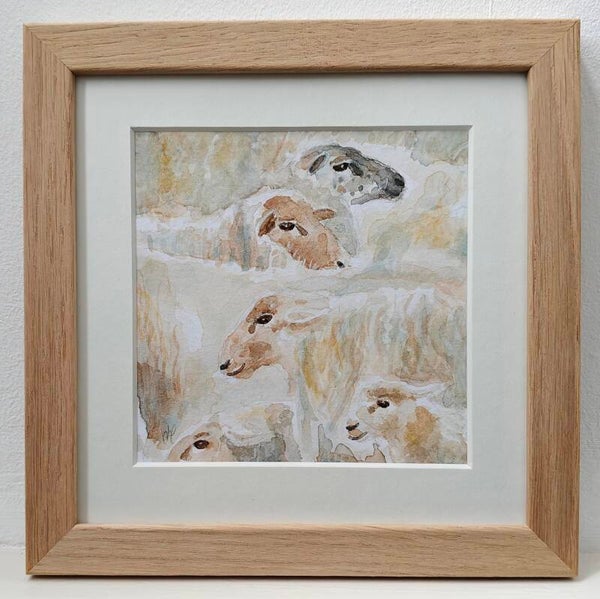 Aquarel schapen