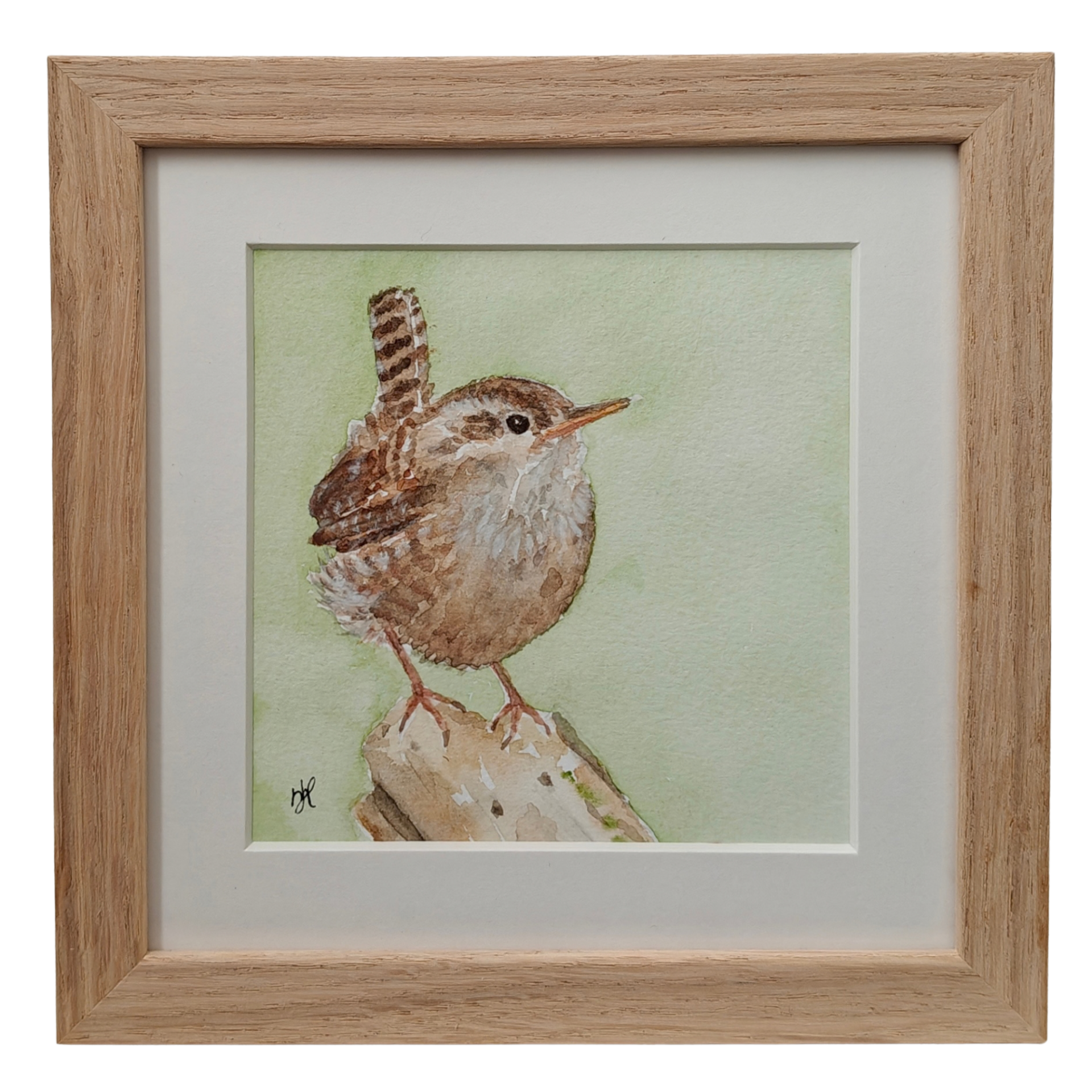 Aquarel Winterkoninkje vooraanzicht