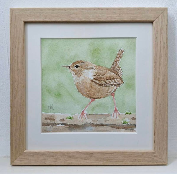 Aquarel Winterkoninkje