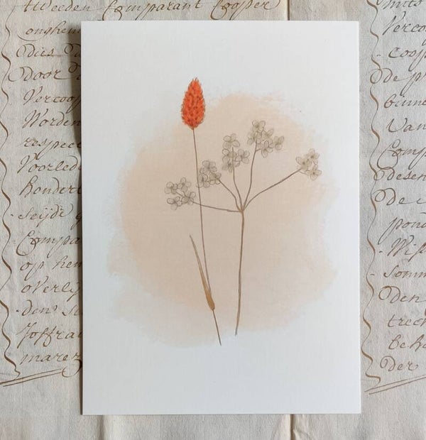 A5 print droogbloemen oranje en zalmroze