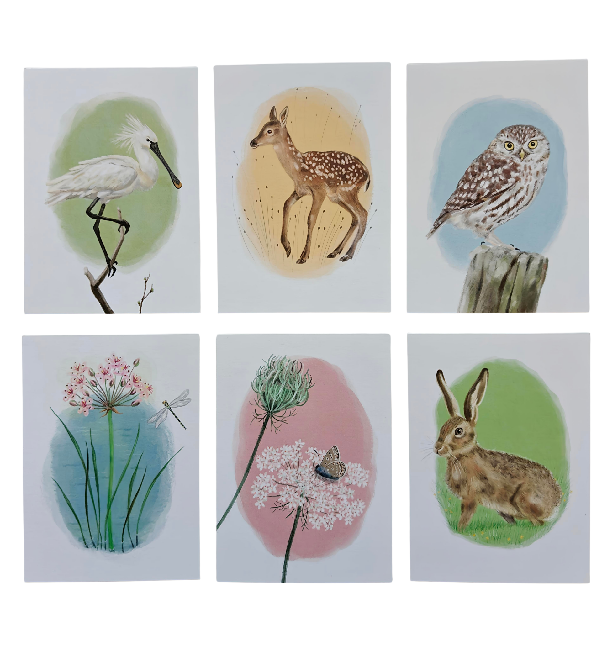Kaartenset inheemse planten en dieren